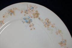 BAWO & DOTTER  AUTUMN VINE, BLUE FLORAL-   DINNER PLATE  9  1/2"     .....   https://www.jaapiesfinechinastore.com