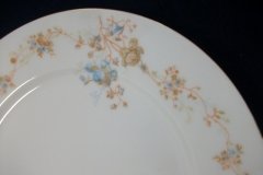 BAWO & DOTTER  AUTUMN VINE, BLUE FLORAL-   DINNER PLATE  9  1/2"     .....   http://jaapiesfinechinastore.com