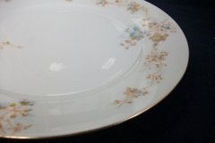BAWO & DOTTER  AUTUMN VINE, BLUE FLORAL-   DINNER PLATE  9  1/2"     .....   http://jaapiesfinechinastore.com