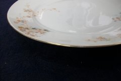 BAWO & DOTTER  AUTUMN VINE, BLUE FLORAL-   DINNER PLATE  9  1/2"     .....   http://jaapiesfinechinastore.com