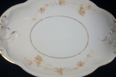 BAWO & DOTTER  AUTUMN VINE, BLUE FLORAL-   GRAVY BOAT & UNDERPLATE  #1     .....   http://jaapiesfinechinastore.com