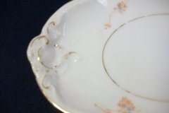 BAWO & DOTTER  AUTUMN VINE, BLUE FLORAL-   GRAVY BOAT & UNDERPLATE  #1     .....   http://jaapiesfinechinastore.com