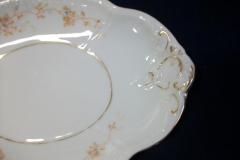 BAWO & DOTTER  AUTUMN VINE, BLUE FLORAL-   GRAVY BOAT & UNDERPLATE  #2     .....   https://www.jaapiesfinechinastore.com