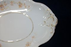 BAWO & DOTTER  AUTUMN VINE, BLUE FLORAL-   GRAVY BOAT & UNDERPLATE  #2     .....   http://jaapiesfinechinastore.com