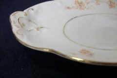 BAWO & DOTTER  AUTUMN VINE, BLUE FLORAL-   GRAVY BOAT & UNDERPLATE  #2     .....   http://jaapiesfinechinastore.com