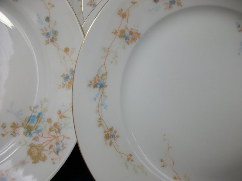 BAWO & DOTTER  AUTUMN VINE, BLUE FLORAL-   LUNCHEON PLATE  8 1/2"     .....   http://jaapiesfinechinastore.com