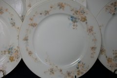 BAWO & DOTTER  AUTUMN VINE, BLUE FLORAL-   LUNCHEON PLATE  8 1/2"     .....   http://jaapiesfinechinastore.com