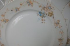 BAWO & DOTTER  AUTUMN VINE, BLUE FLORAL-   LUNCHEON PLATE  8 1/2"     .....   http://jaapiesfinechinastore.com