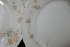 BAWO & DOTTER  AUTUMN VINE, BLUE FLORAL-   LUNCHEON PLATE  8 1/2"     .....   https://www.jaapiesfinechinastore.com