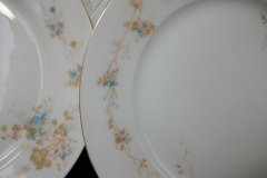 BAWO & DOTTER  AUTUMN VINE, BLUE FLORAL-   LUNCHEON PLATE  8 1/2"     .....   http://jaapiesfinechinastore.com