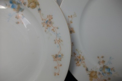 BAWO & DOTTER  AUTUMN VINE, BLUE FLORAL-   LUNCHEON PLATE  8 1/2"     .....   https://www.jaapiesfinechinastore.com