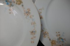 BAWO & DOTTER  AUTUMN VINE, BLUE FLORAL-   LUNCHEON PLATE  8 1/2"     .....   http://jaapiesfinechinastore.com