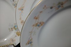 BAWO & DOTTER  AUTUMN VINE, BLUE FLORAL-   LUNCHEON PLATE  8 1/2"     .....   http://jaapiesfinechinastore.com