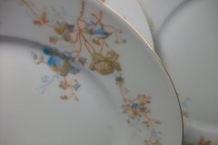 BAWO & DOTTER  AUTUMN VINE, BLUE FLORAL-   LUNCHEON PLATE  8 1/2"     .....   http://jaapiesfinechinastore.com