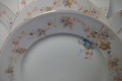 BAWO & DOTTER  AUTUMN VINE, BLUE FLORAL-   LUNCHEON PLATE  8 1/2"     .....   https://www.jaapiesfinechinastore.com