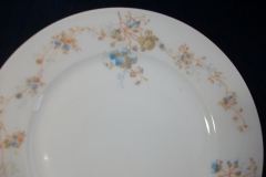 BAWO & DOTTER  AUTUMN VINE, BLUE FLORAL-   LUNCHEON PLATE  8 1/2"     .....   https://www.jaapiesfinechinastore.com