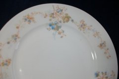 BAWO & DOTTER  AUTUMN VINE, BLUE FLORAL-   LUNCHEON PLATE  8 1/2"     .....   http://jaapiesfinechinastore.com