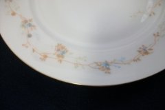 BAWO & DOTTER  AUTUMN VINE, BLUE FLORAL-   LUNCHEON PLATE  8 1/2"     .....   http://jaapiesfinechinastore.com