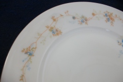 BAWO & DOTTER  AUTUMN VINE, BLUE FLORAL-   LUNCHEON PLATE  8 1/2"     .....   https://www.jaapiesfinechinastore.com