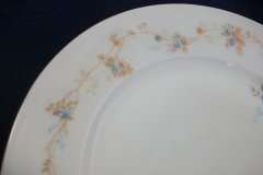 BAWO & DOTTER  AUTUMN VINE, BLUE FLORAL-   LUNCHEON PLATE  8 1/2"     .....   http://jaapiesfinechinastore.com