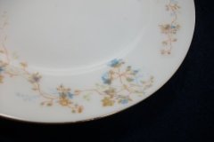 BAWO & DOTTER  AUTUMN VINE, BLUE FLORAL-   LUNCHEON PLATE  8 1/2"     .....   http://jaapiesfinechinastore.com