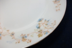 BAWO & DOTTER  AUTUMN VINE, BLUE FLORAL-   LUNCHEON PLATE  8 1/2"     .....   https://www.jaapiesfinechinastore.com