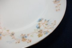 BAWO & DOTTER  AUTUMN VINE, BLUE FLORAL-   LUNCHEON PLATE  8 1/2"     .....   http://jaapiesfinechinastore.com