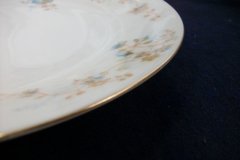 BAWO & DOTTER  AUTUMN VINE, BLUE FLORAL-   LUNCHEON PLATE  8 1/2"     .....   http://jaapiesfinechinastore.com