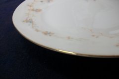 BAWO & DOTTER  AUTUMN VINE, BLUE FLORAL-   LUNCHEON PLATE  8 1/2"     .....   http://jaapiesfinechinastore.com