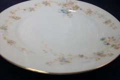 BAWO & DOTTER  AUTUMN VINE, BLUE FLORAL-   LUNCHEON PLATE  8 1/2"     .....   http://jaapiesfinechinastore.com