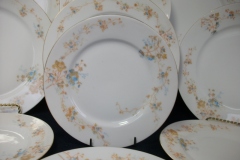 BAWO & DOTTER  AUTUMN VINE, BLUE FLORAL-  SALAD PLATE  7  7/16"    .....   https://www.jaapiesfinechinastore.com