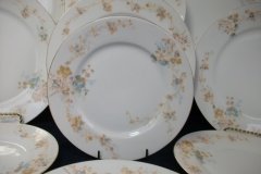 BAWO & DOTTER  AUTUMN VINE, BLUE FLORAL-  SALAD PLATE  7  7/16"    .....   http://jaapiesfinechinastore.com