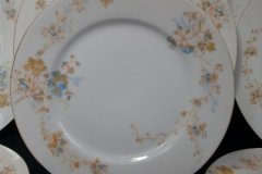 BAWO & DOTTER  AUTUMN VINE, BLUE FLORAL-  SALAD PLATE  7  7/16"    .....   http://jaapiesfinechinastore.com