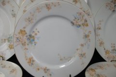 BAWO & DOTTER  AUTUMN VINE, BLUE FLORAL-  SALAD PLATE  7  7/16"    .....   http://jaapiesfinechinastore.com