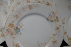 BAWO & DOTTER  AUTUMN VINE, BLUE FLORAL-  SALAD PLATE  7  7/16"    .....   http://jaapiesfinechinastore.com