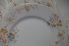 BAWO & DOTTER  AUTUMN VINE, BLUE FLORAL-  SALAD PLATE  7  7/16"    .....   https://www.jaapiesfinechinastore.com