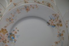 BAWO & DOTTER  AUTUMN VINE, BLUE FLORAL-  SALAD PLATE  7  7/16"    .....   http://jaapiesfinechinastore.com