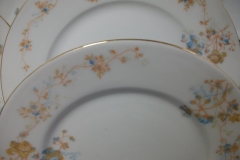 BAWO & DOTTER  AUTUMN VINE, BLUE FLORAL-  SALAD PLATE  7  7/16"    .....   https://www.jaapiesfinechinastore.com