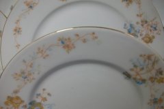 BAWO & DOTTER  AUTUMN VINE, BLUE FLORAL-  SALAD PLATE  7  7/16"    .....   http://jaapiesfinechinastore.com
