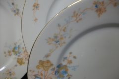 BAWO & DOTTER  AUTUMN VINE, BLUE FLORAL-  SALAD PLATE  7  7/16"    .....   https://www.jaapiesfinechinastore.com