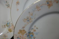 BAWO & DOTTER  AUTUMN VINE, BLUE FLORAL-  SALAD PLATE  7  7/16"    .....   http://jaapiesfinechinastore.com