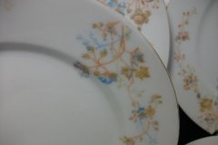 BAWO & DOTTER  AUTUMN VINE, BLUE FLORAL-  SALAD PLATE  7  7/16"    .....   http://jaapiesfinechinastore.com
