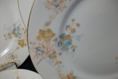 BAWO & DOTTER  AUTUMN VINE, BLUE FLORAL-  SALAD PLATE  7  7/16"    .....   http://jaapiesfinechinastore.com