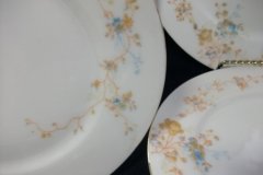 BAWO & DOTTER  AUTUMN VINE, BLUE FLORAL-  SALAD PLATE  7  7/16"    .....   http://jaapiesfinechinastore.com