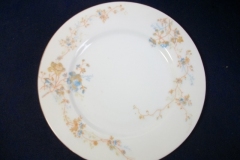 BAWO & DOTTER  AUTUMN VINE, BLUE FLORAL-  SALAD PLATE  7  7/16"    .....   https://www.jaapiesfinechinastore.com