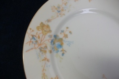 BAWO & DOTTER  AUTUMN VINE, BLUE FLORAL-  SALAD PLATE  7  7/16"    .....   https://www.jaapiesfinechinastore.com