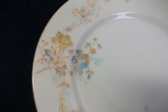 BAWO & DOTTER  AUTUMN VINE, BLUE FLORAL-  SALAD PLATE  7  7/16"    .....   http://jaapiesfinechinastore.com