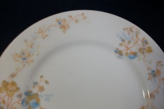 BAWO & DOTTER  AUTUMN VINE, BLUE FLORAL-  SALAD PLATE  7  7/16"    .....   https://www.jaapiesfinechinastore.com