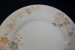 BAWO & DOTTER  AUTUMN VINE, BLUE FLORAL-  SALAD PLATE  7  7/16"    .....   http://jaapiesfinechinastore.com