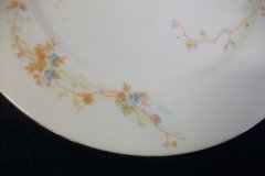 BAWO & DOTTER  AUTUMN VINE, BLUE FLORAL-  SALAD PLATE  7  7/16"    .....   http://jaapiesfinechinastore.com